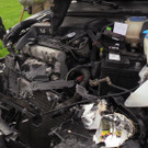 220405_VULustenau_Shourot007.JPG