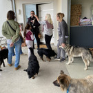 tierschutzverein ukraine _11_.jpg