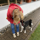tierschutzverein ukraine _15_.jpg