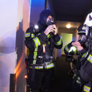 220406_Brand_Shourot011.JPG