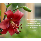 Foto Karten Ludescher Sonja.jpg