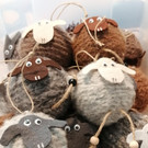 Foto Schwab Anita Schafe .jpg