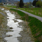 Renaturierung Emmebach Altach