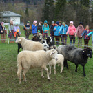 Impressionen vom Besuch am Bauernhof der Volksschule Tschagguns