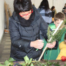 IMG_7330.jpg