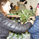 IMG_7334.jpg