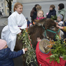 Palmsonntag im Hatlerdorf