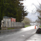 DSCI7302.JPG
