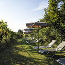 SHR_Krems_exterior_Weingarten_1.jpg
