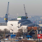 AFP_324U7NR.jpg