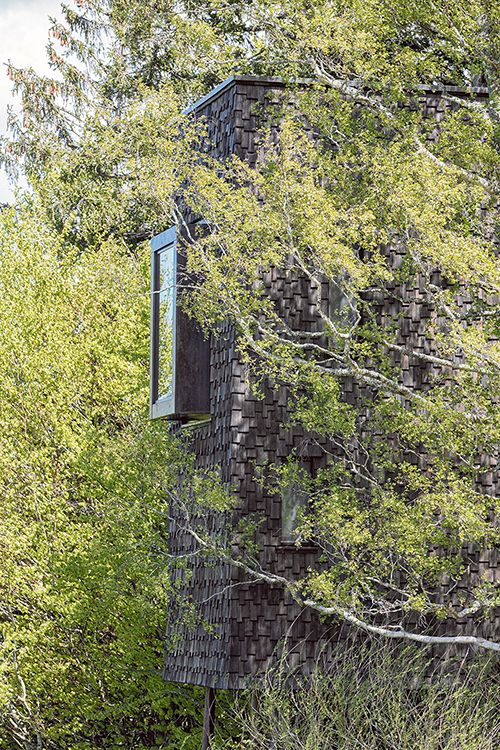 0_0__2021_Georg_Bechter_Baumhaus_6981.jpg