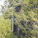 0_0__2021_Georg_Bechter_Baumhaus_6981.jpg
