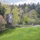 1_2__2021_Georg_Bechter_Baumhaus_6040.jpg