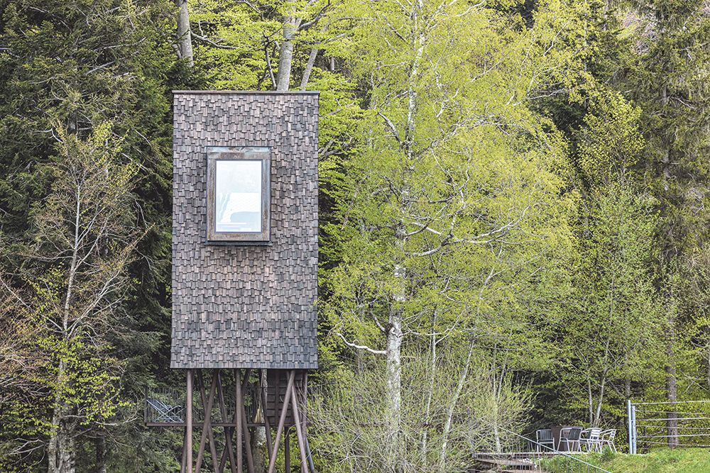 1_3__2021_Georg_Bechter_Baumhaus_6028.jpg