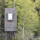 1_3__2021_Georg_Bechter_Baumhaus_6028.jpg