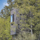 1_4__2021_Georg_Bechter_Baumhaus_6373.jpg