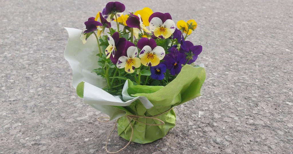 Blumen_01.jpg