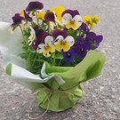 Blumen_01.jpg