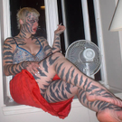 a374_Katzen.jpg