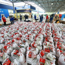 2022-04-14T025131Z_1650309094_RC2EMT9SPN7N_RTRMADP_3_HEALTH-CORONAVIRUS-CHINA.JPG