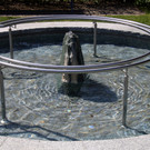 Wassertrete _6_.JPG
