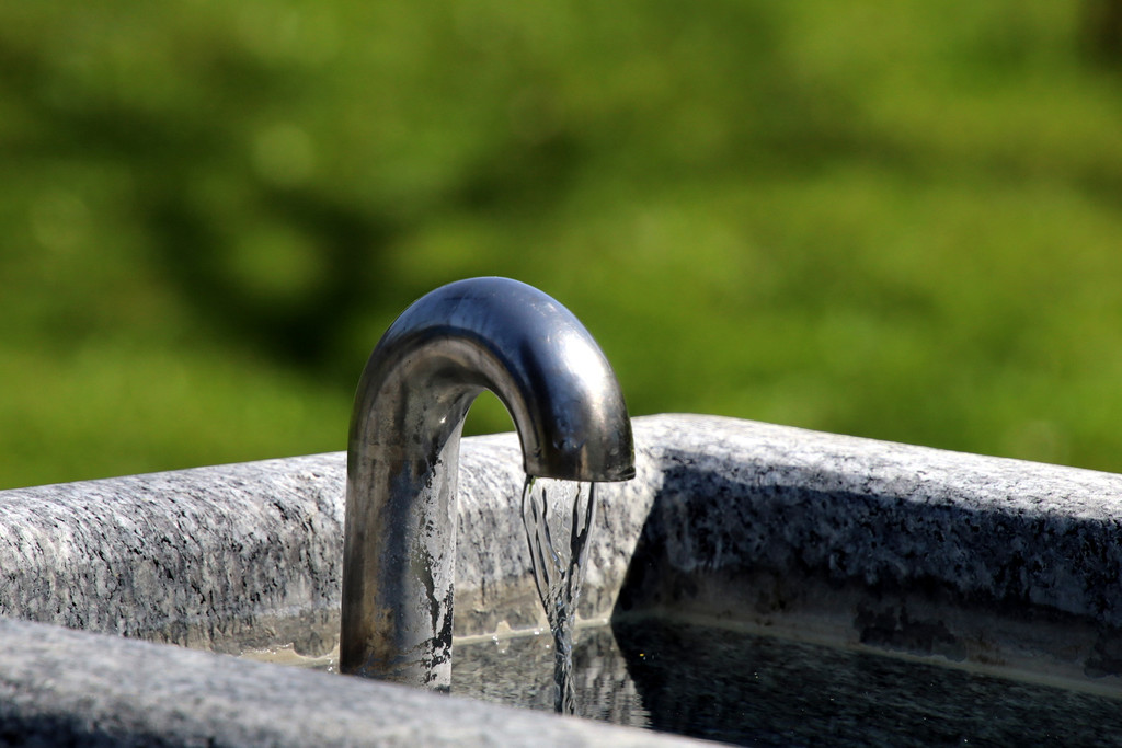 Wassertrete _12_.JPG