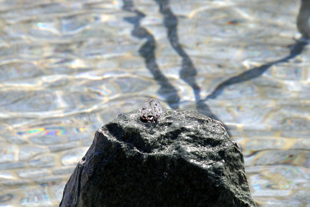 Wassertrete _15_.JPG