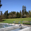 Wassertrete _23_.JPG
