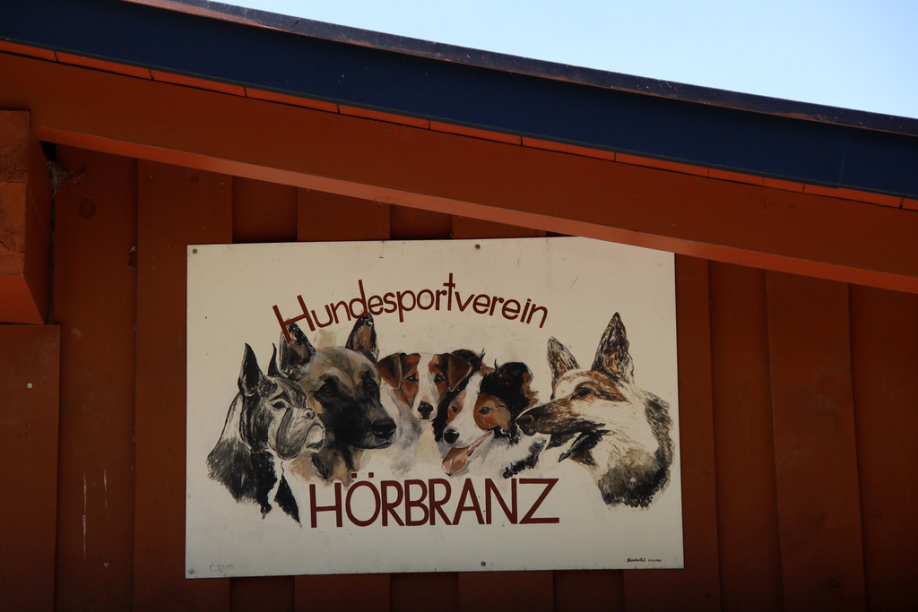 HSV _1_.JPG