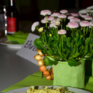 39-Jahreshauptversammlung 080422_62.JPG