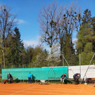 IMG20220416093911.jpg