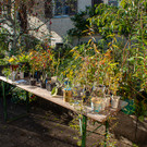 Pflanzentauschb__rse_Herbst 2021-8.jpg