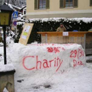 953406.jpg