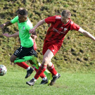 DSC01212a_1000x774.jpg