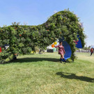 AFP_328F8YT.jpg