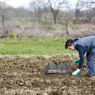 farmstay junge_Catalin Petolea_shutterstock n.jpg