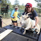 Western_Wildfires_97572.jpg