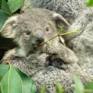 ABD0027-20201203.jpg