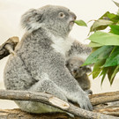ABD0028-20201203.jpg