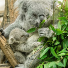 ABD0025-20201203.jpg