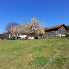 Seniorenbund YAKHOF HALDEN Besuch 21-04-2022 _1_.jpg