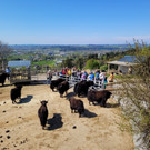 Seniorenbund YAKHOF HALDEN Besuch 21-04-2022 _5_.jpg