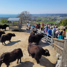 Seniorenbund YAKHOF HALDEN Besuch 21-04-2022 _7_.jpg
