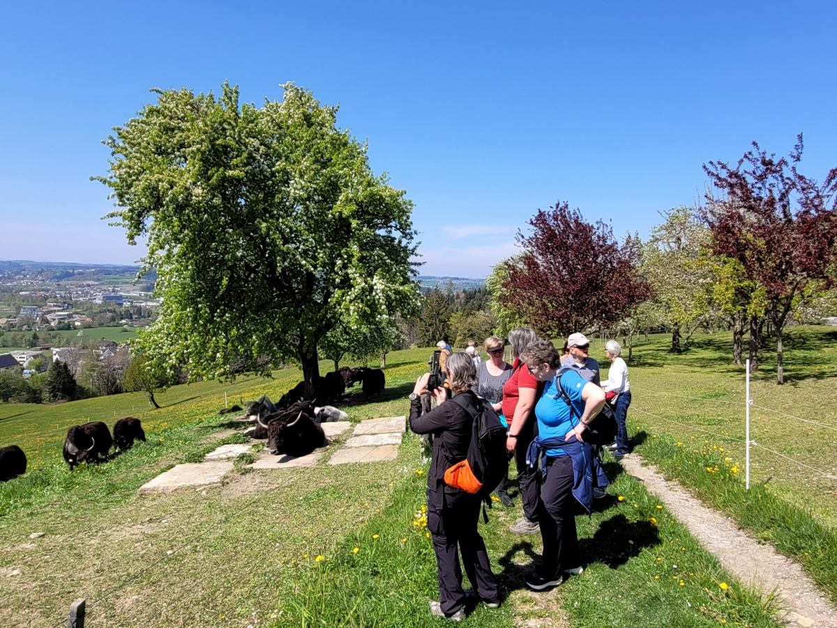 Seniorenbund YAKHOF HALDEN Besuch 21-04-2022 _9_.jpg