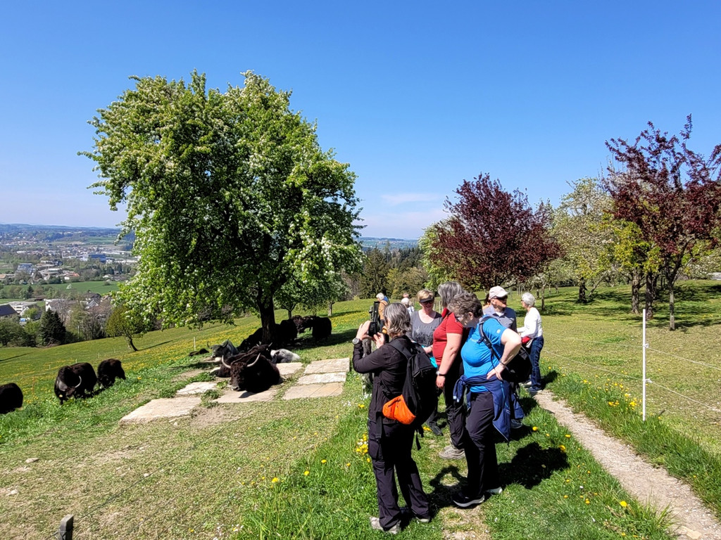 Seniorenbund YAKHOF HALDEN Besuch 21-04-2022 _9_.jpg