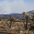 Arizona_Wildfires_73855.jpg
