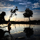 AFP_328P8KR.jpg