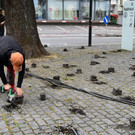02 Bodensanierung __ Marktgemeinde Rankweil.jpg