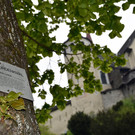 03  Naturdenkmal Sommerlinde.JPG