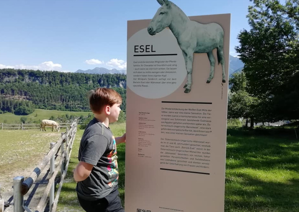 wildpark1.jpg